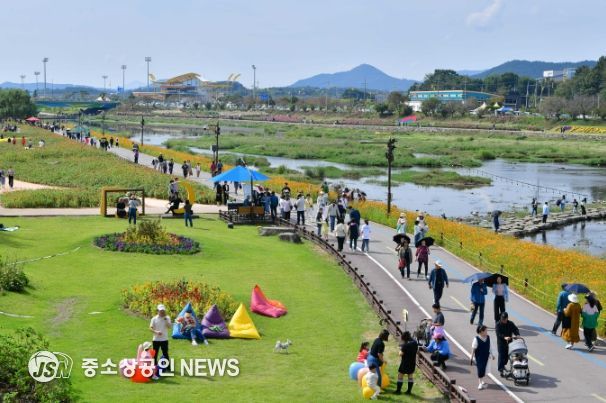 ‘가을꽃으로의 초대’ 장성 황룡강 가을꽃축제 폐막