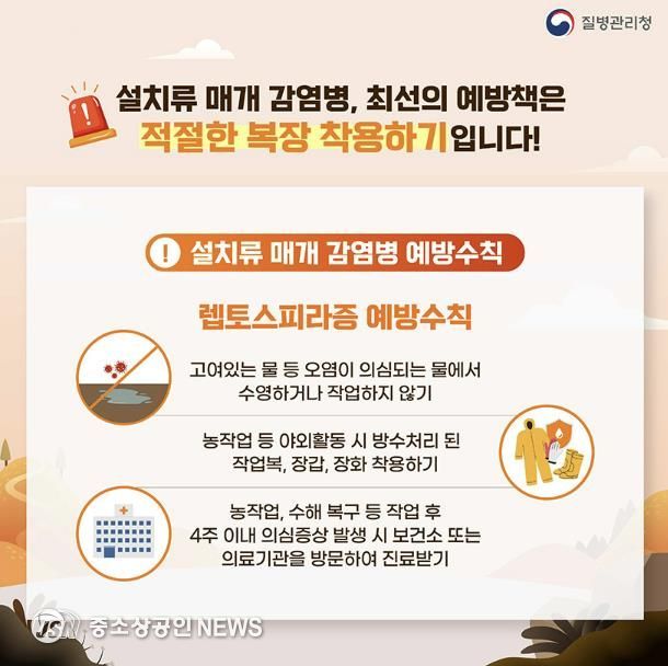 담양군,