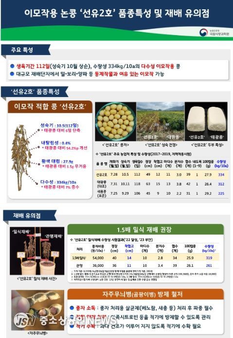‘선유2호’품종 특성 및 재배 유의점