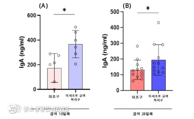 미세조류 급여 10일째(A) 및 28일째(B) 대조구(무처리구) 대비 육계 맹장 내 면역글로불린 A (IgA) 항체 농도 변화
