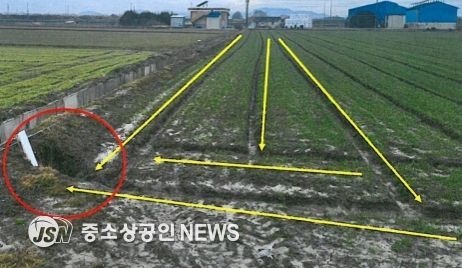 화순군 맥류 및 사료작물의 생육 재생기 관리와 봄 파종