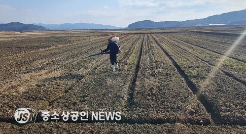 강진군의 한 농가가 웃거름을 살포하고 있다.