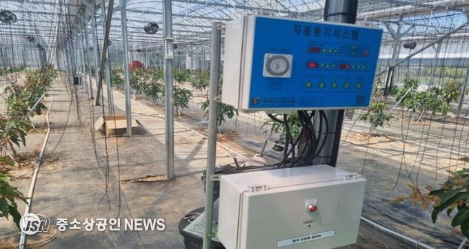 아열대 과수농장