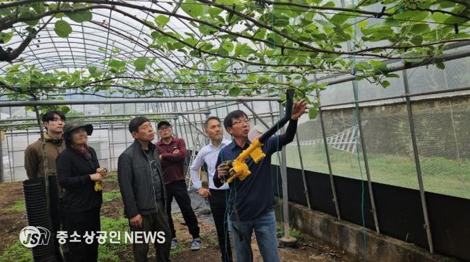 고흥군, 신기술 도입 ‘키위 인공수정 연시회’ 추진