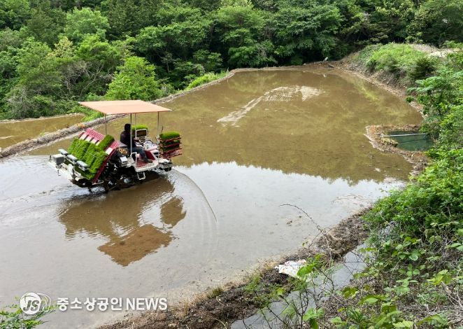 강진군 마량면이 지난 20일 영동리 강장원(68세) 농가의 논에서 올해 첫 모내기를 실시했다.
