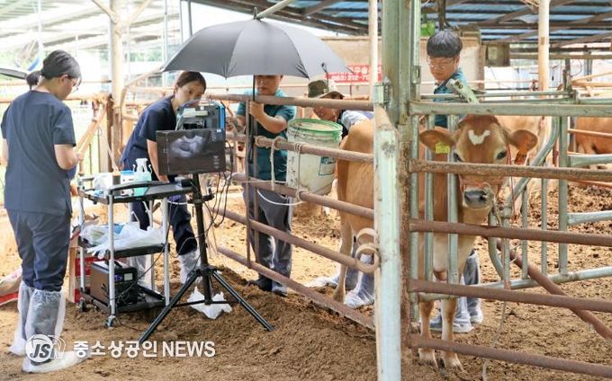 임실군, 저지종 공란우 채란(OPU) 본격 착수