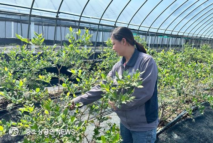 정읍시, ‘2026년 외국인 계절근로자 프로그램’ 수요조사 실시