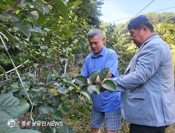 긴급 방제비 지원, 과원 관리 강화