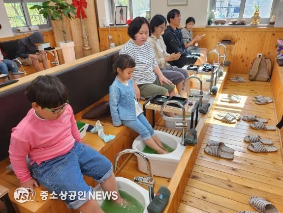 전라남도교육청, ‘녹차 족욕 체험’사진