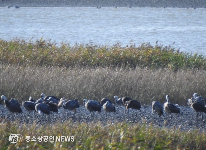 겨울 핫플, ‘순천여행’