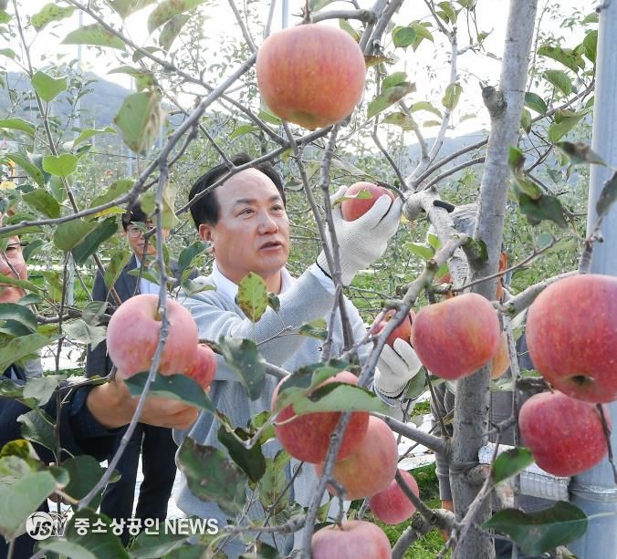오산시, 자매도시 장수군서 ‘오산시민 장수 사과따기 체험행사’ 성황리 개최