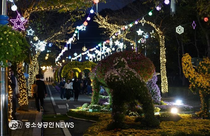 해남미남축제 즐길거리 (국화향연)