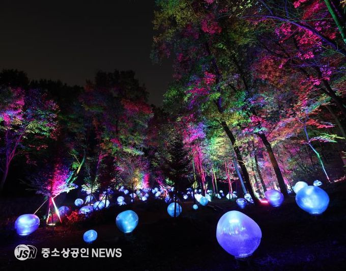 형형색색의 복사꽃 씨앗이 빛나는 도화씨 구간 전경