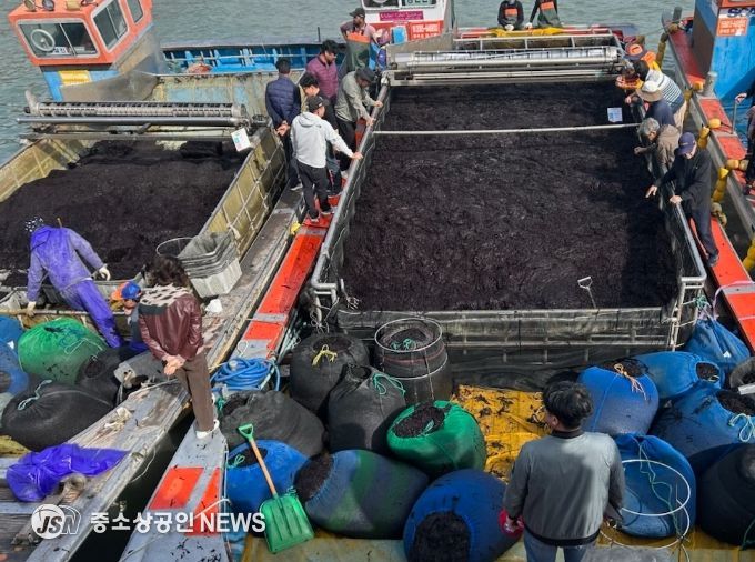곱창김 전국 첫 위판 시작