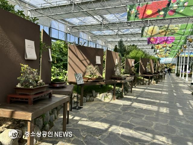 명품분재전시관 전경, 국향대전 역사관 내부 모습