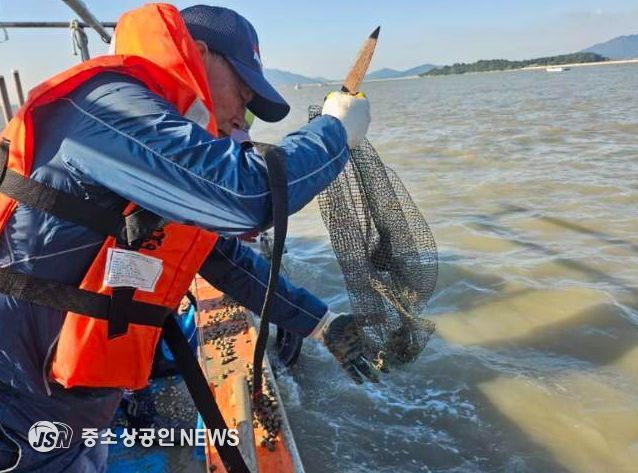 , 칠산해역에 참꼬막 137만 마리 방류