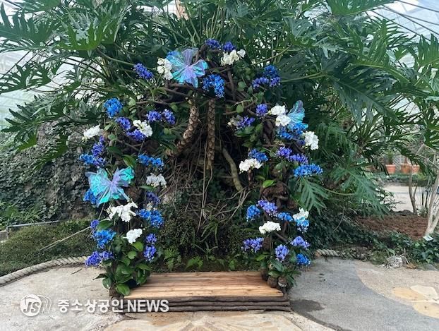 함평군 자연생태공원, 호접란 특별개최전 호접란 포토존