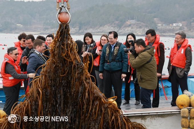 사진은 미 에너지부 산하기관 에너지 고등 계획원(ARPA-E) 관계자 완도군 해조류(미역) 양식장을 방문한 모습