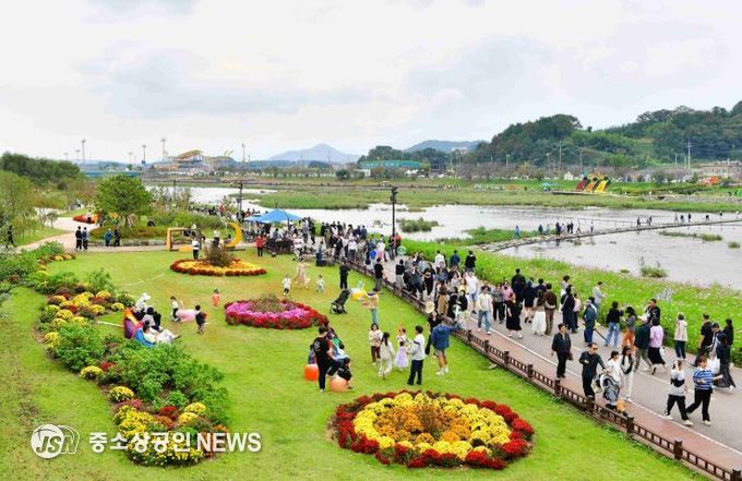 올해 장성 황룡강 가을꽃축제가 방문객 40만여 명을 기록하며 성황리에 막을 내렸다. 장성군 제공