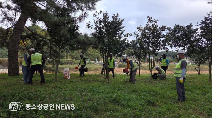 광양시, 가로수 종합 정비