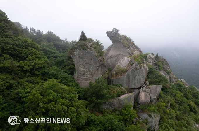 보성군, 오봉산 용추동과 칼바위 일원 명승 지정_오봉산 칼바위
