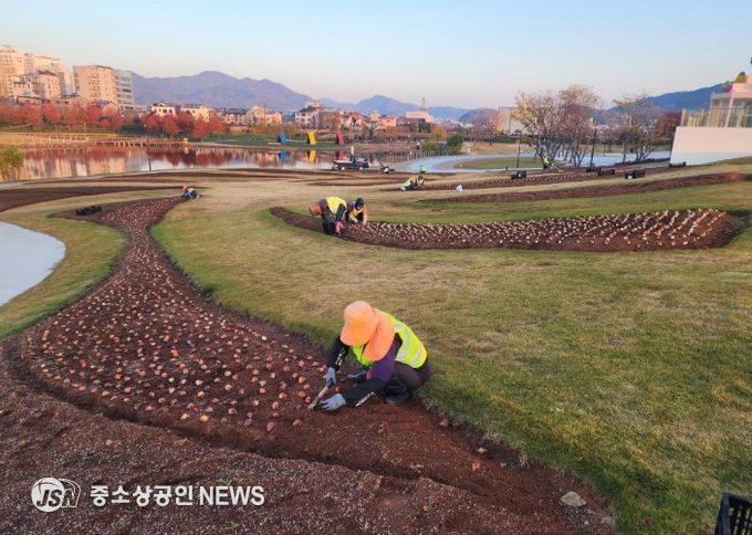 순천시 오천그린광장, 2026년 봄꽃 7만본 식재