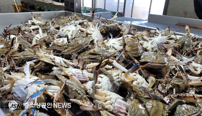 진도군, 해양수산부 공모사업 선정