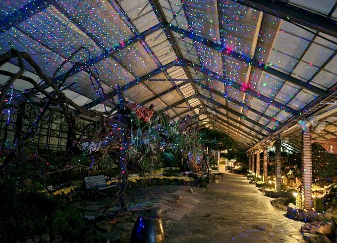 자연생태관 실내 연출 모습