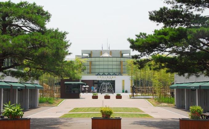 담양 한국대나무박물관, 2026년 1월 1일부터 '전시관 추억 여행' 무료 관람 운영