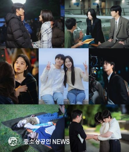 사진 제공: SLL, 아이엔, 글뫼