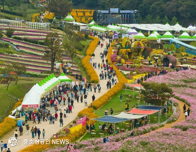 2025년 화순 고인돌 가을꽃 축제장 전경