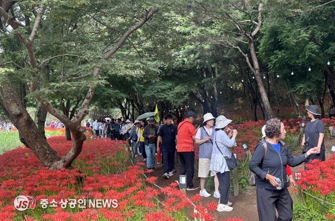 영광불갑산상사화축제, 문화체육관광부 ‘로컬100’ 선정