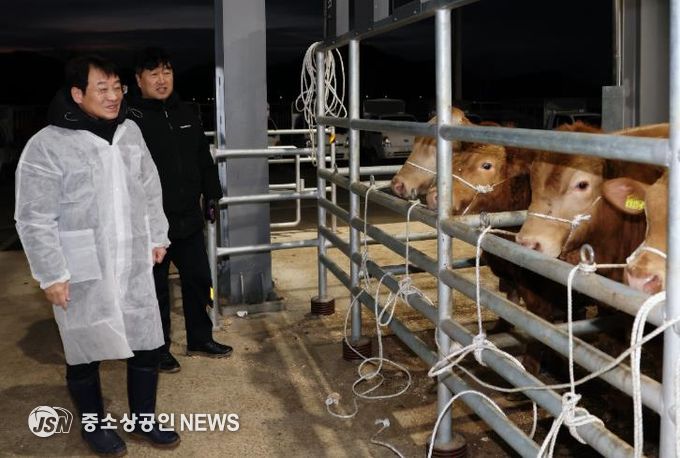 설 명절을 앞두고 강진 가축시장을 방문해 한우 농가를 격려하고 의견을 청취하고 있다.