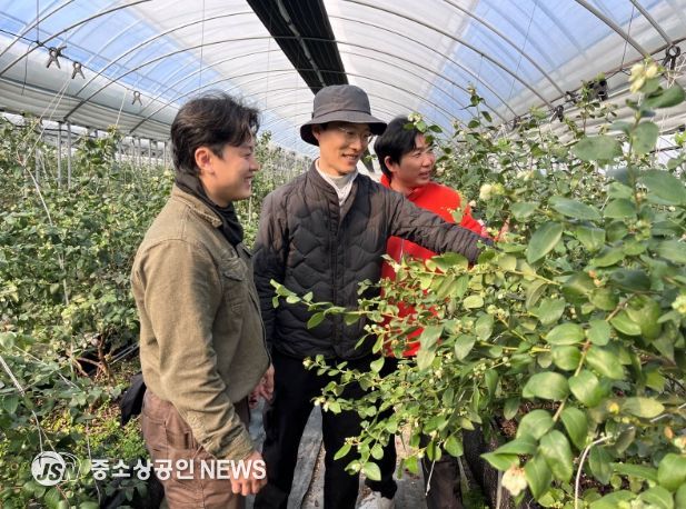 곡성에서 블루베리 영농에 종사하는 청년 농업인들