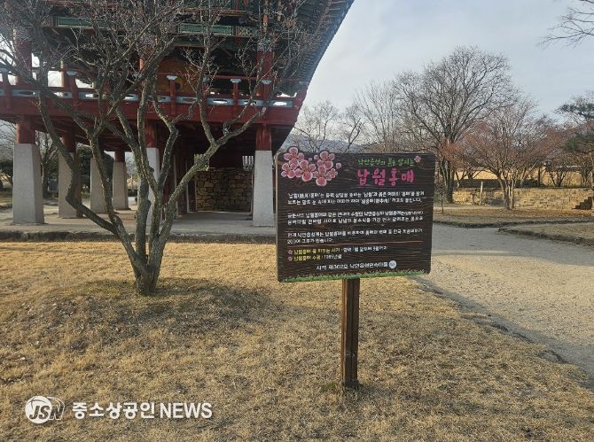 낙안읍성으로 초대, 붉은 꽃길이 열립니다