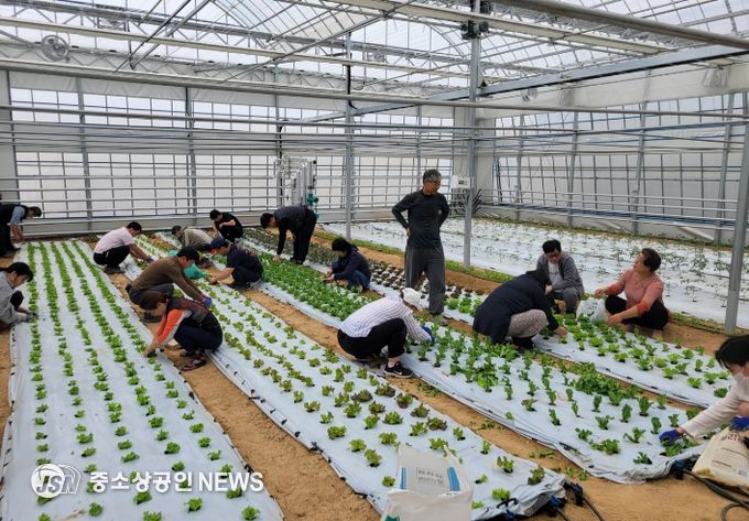 담양군, ‘2026년 신규농업인 기초영농기술교육’ 교육생 모집(지난해 교육 사진)