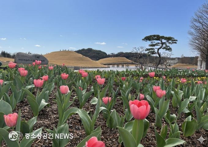 ‘첫 튤립 꽃잔치’로 가장 먼저 봄을 열다