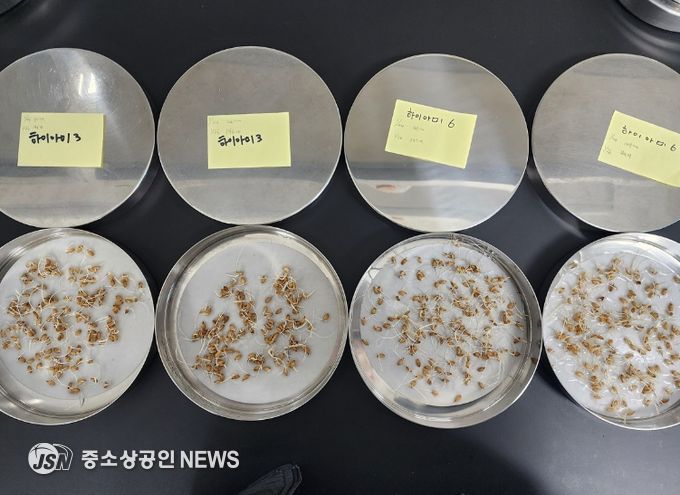 지난해 ‘깨씨무늬병’ 발생 잦아 자가채종 종자 활력 저하 우려