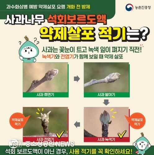 광양시, 과수화상병 발생 예방 사전방제 실시