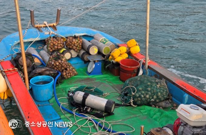 완도해경에서 단속한 새조개 불법 조업 현장의 모습