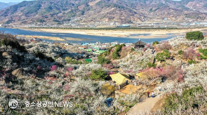 ‘한국관광 100선’ 광양매화마을 탐방 이벤트 운